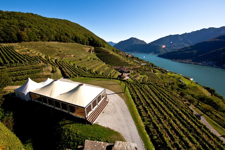 Castello_Morcote_Vendemmia1