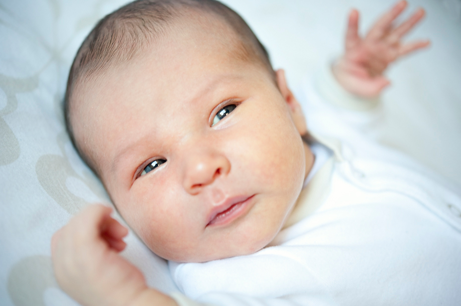 newborn1 New Born Baby Shoot