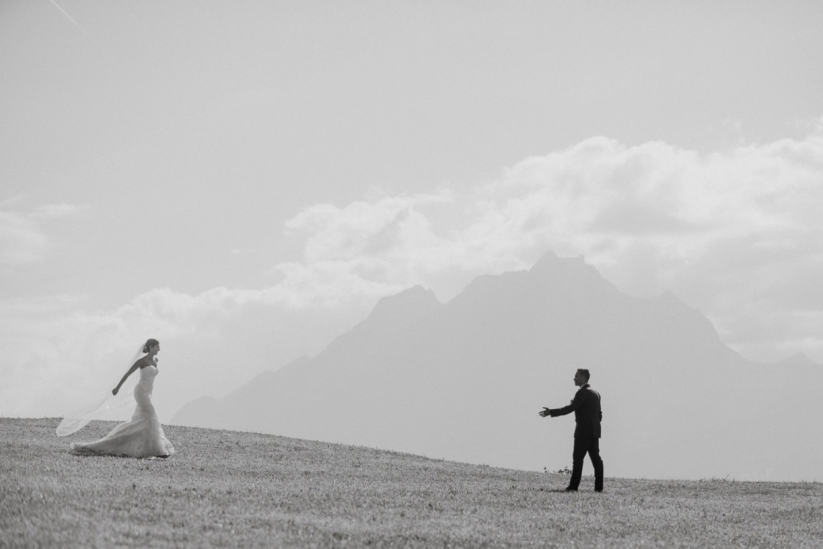 herteinstein wedding